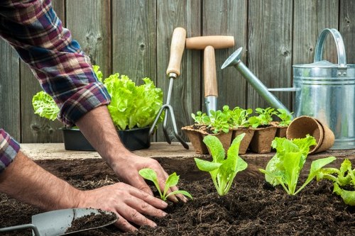 Recycling bins and compost bays in a garden waste area