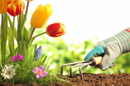 Sustainable gardening practices by Gardeners Barnet
