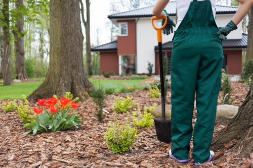Choosing the right landscaping company in Barnet