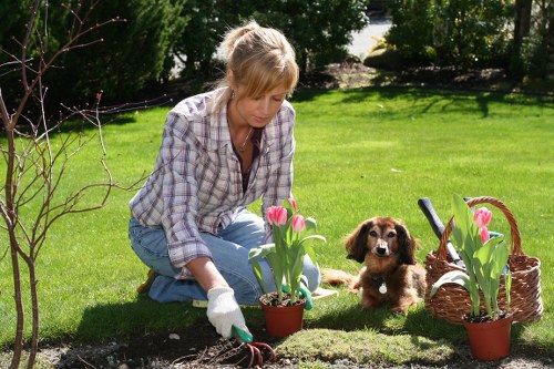 Stylish deck accessories and enhancements