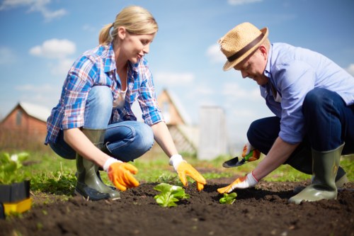 Benefits of regular lawn maintenance in Barnet