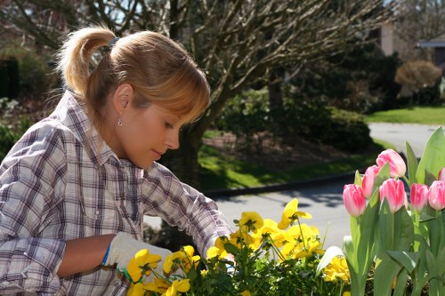 Popular landscaping styles in Barnet