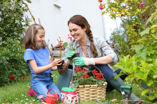 Professional garden design in Barnet